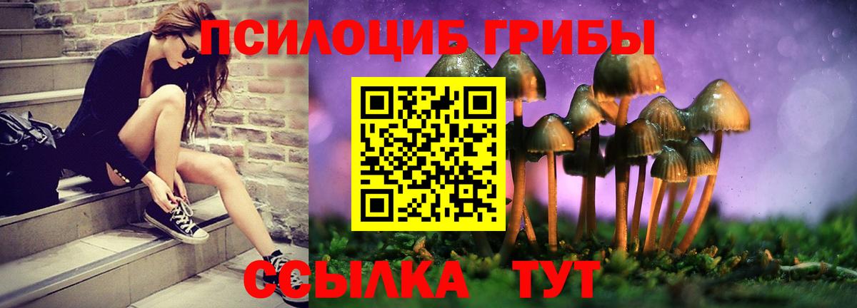 Псилоцибиновые грибы Magic Shrooms Вольск